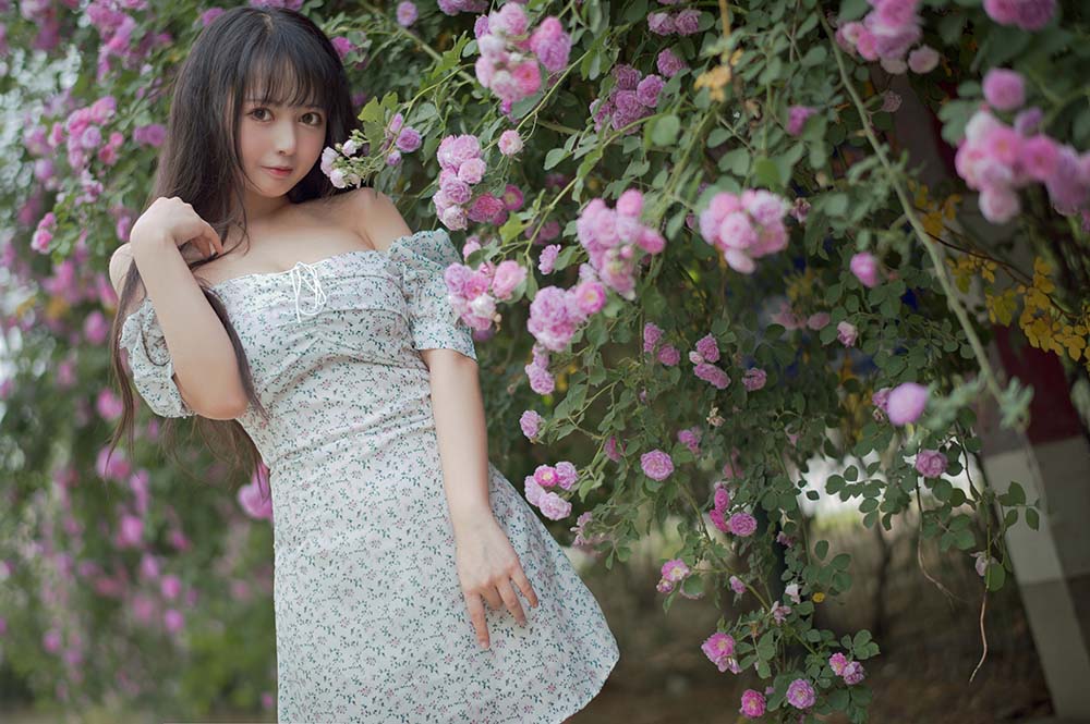 黑猫猫OvO – 蔷薇2