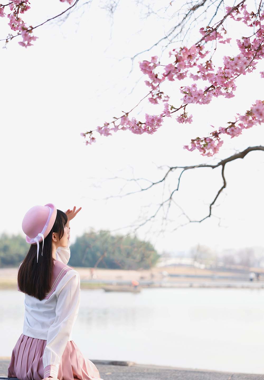 绮太郎Kitaro – 樱花