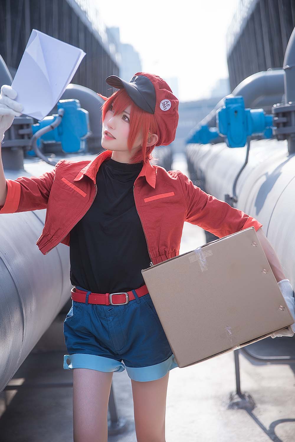 绮太郎Kitaro – 工作细胞2