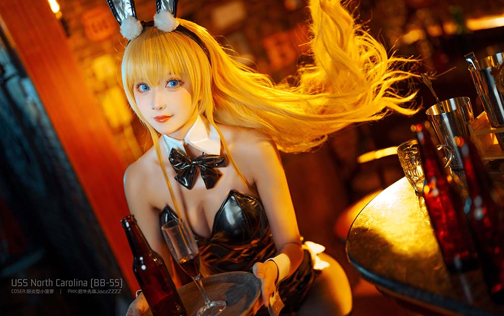 阳炎型小菠萝 – 北卡罗来纳