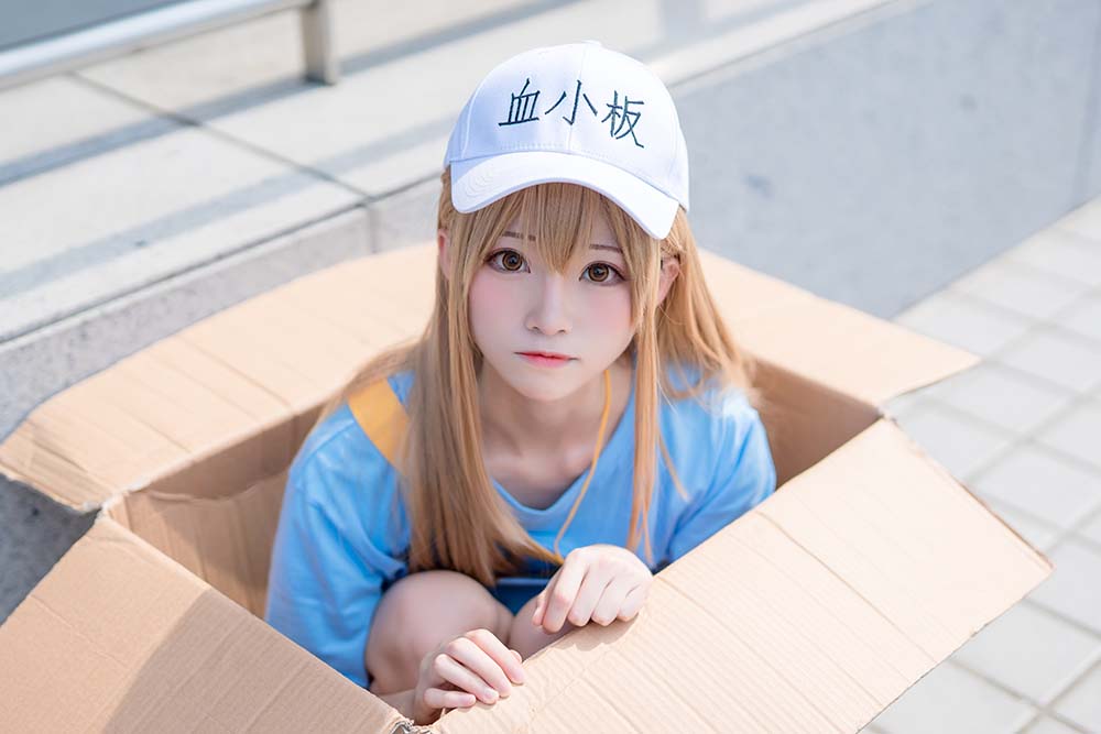 绮太郎Kitaro – 血小板