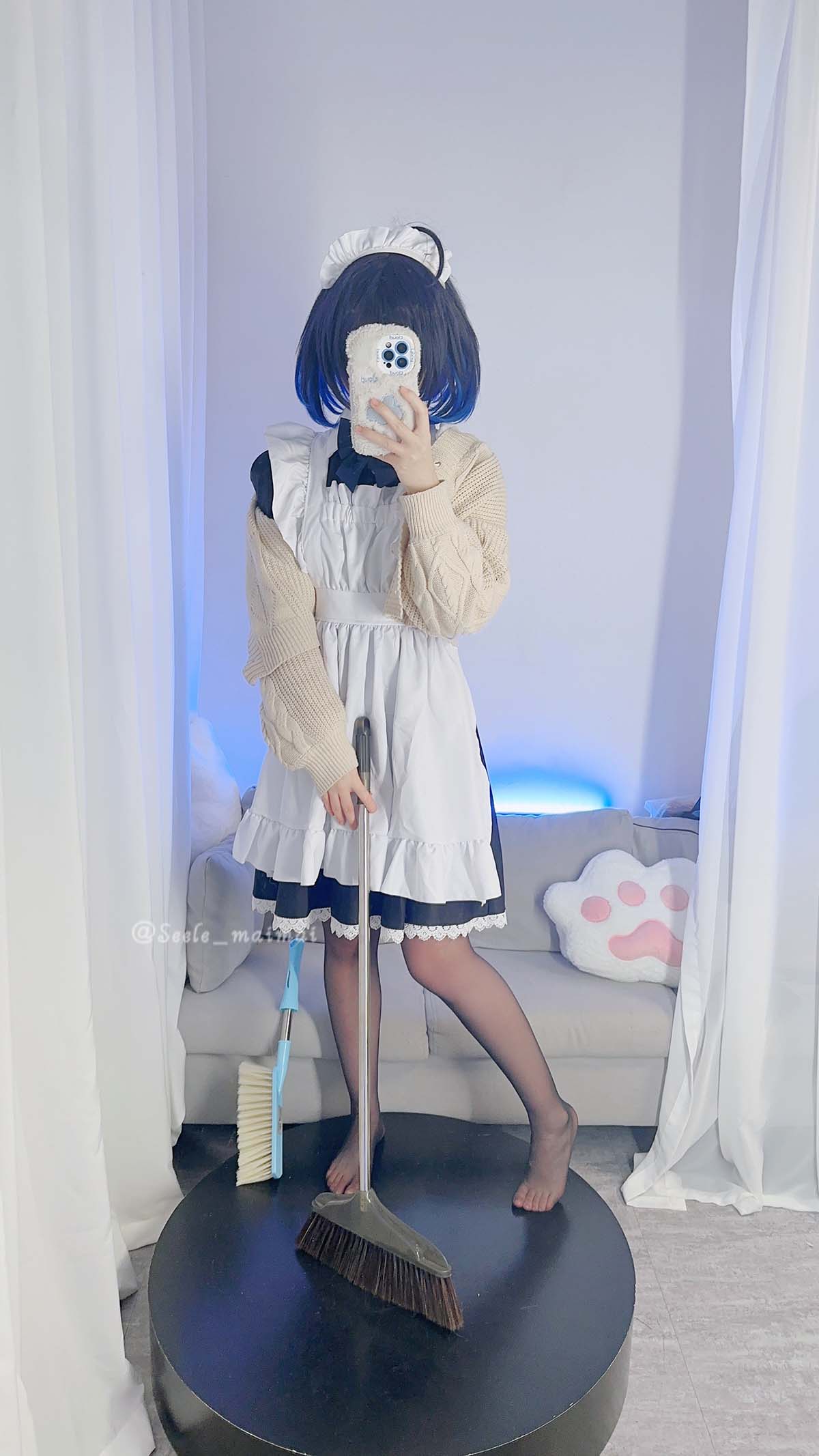 Seele麦麦 – 麦麦的回忆录 希儿女仆（黑）