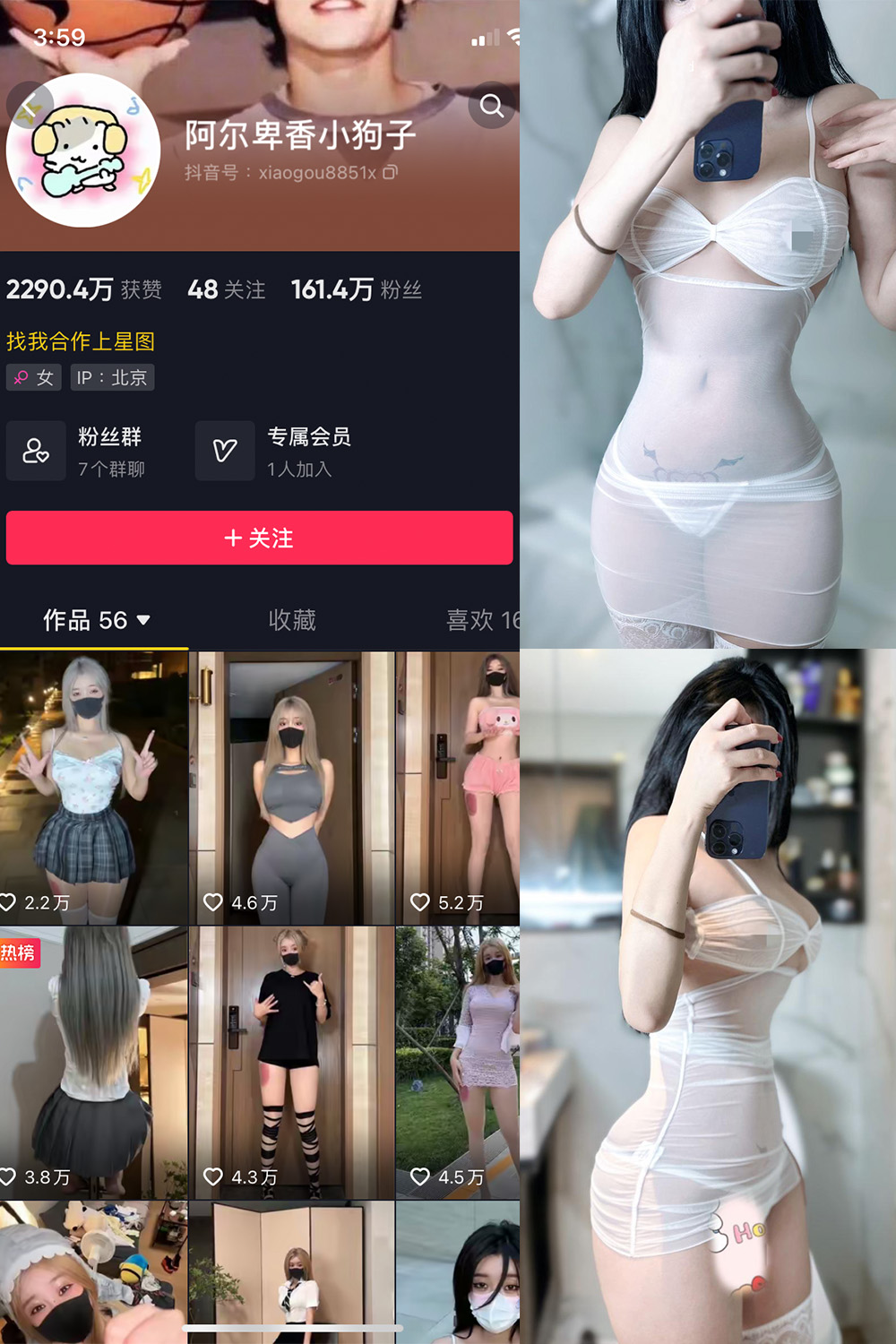 抖音 阿尔卑香小狗子 微密圈 NO.028期