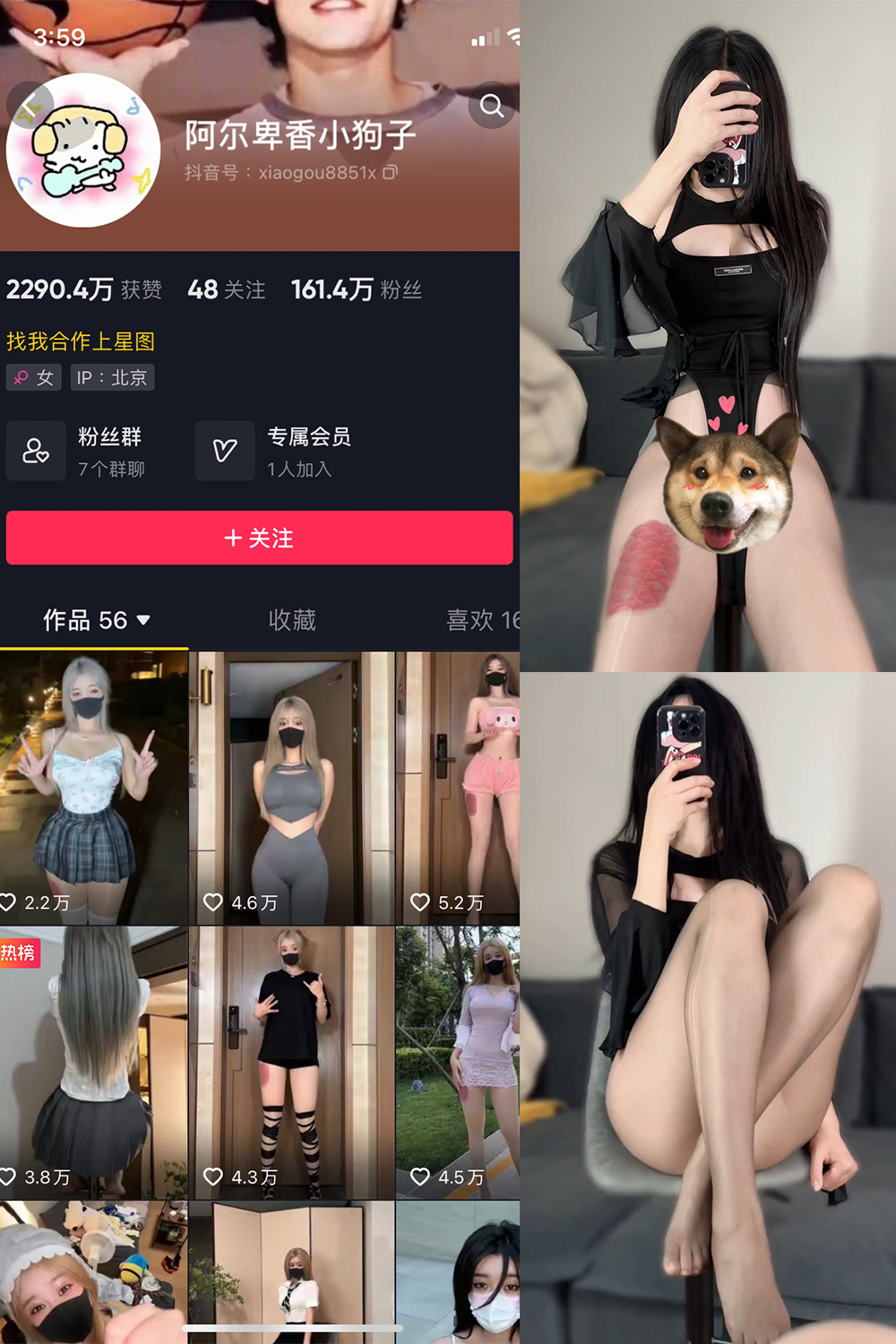 抖音 阿尔卑香小狗子 微密圈 NO.026期