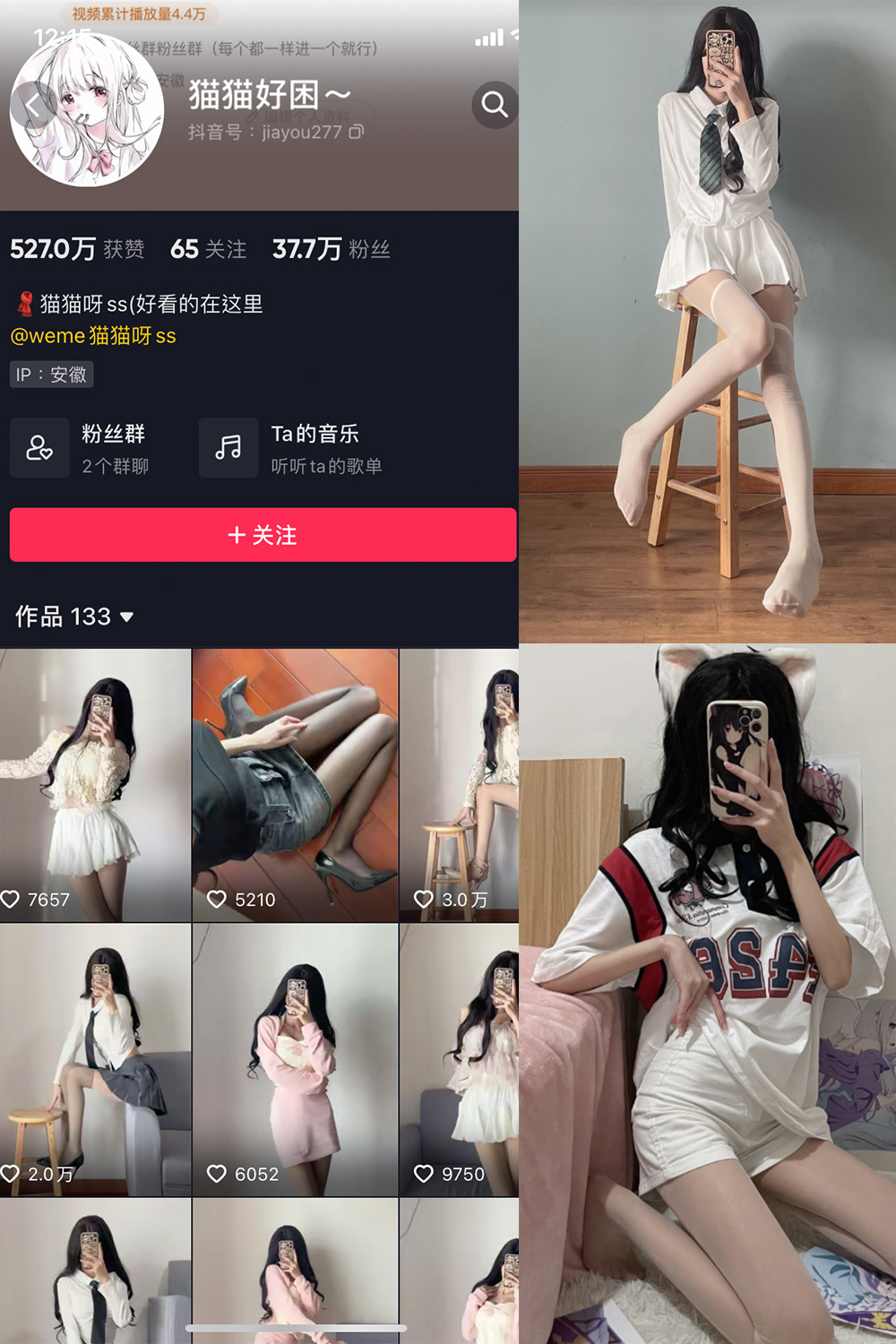 抖音 猫猫好困 微密圈 NO.001期