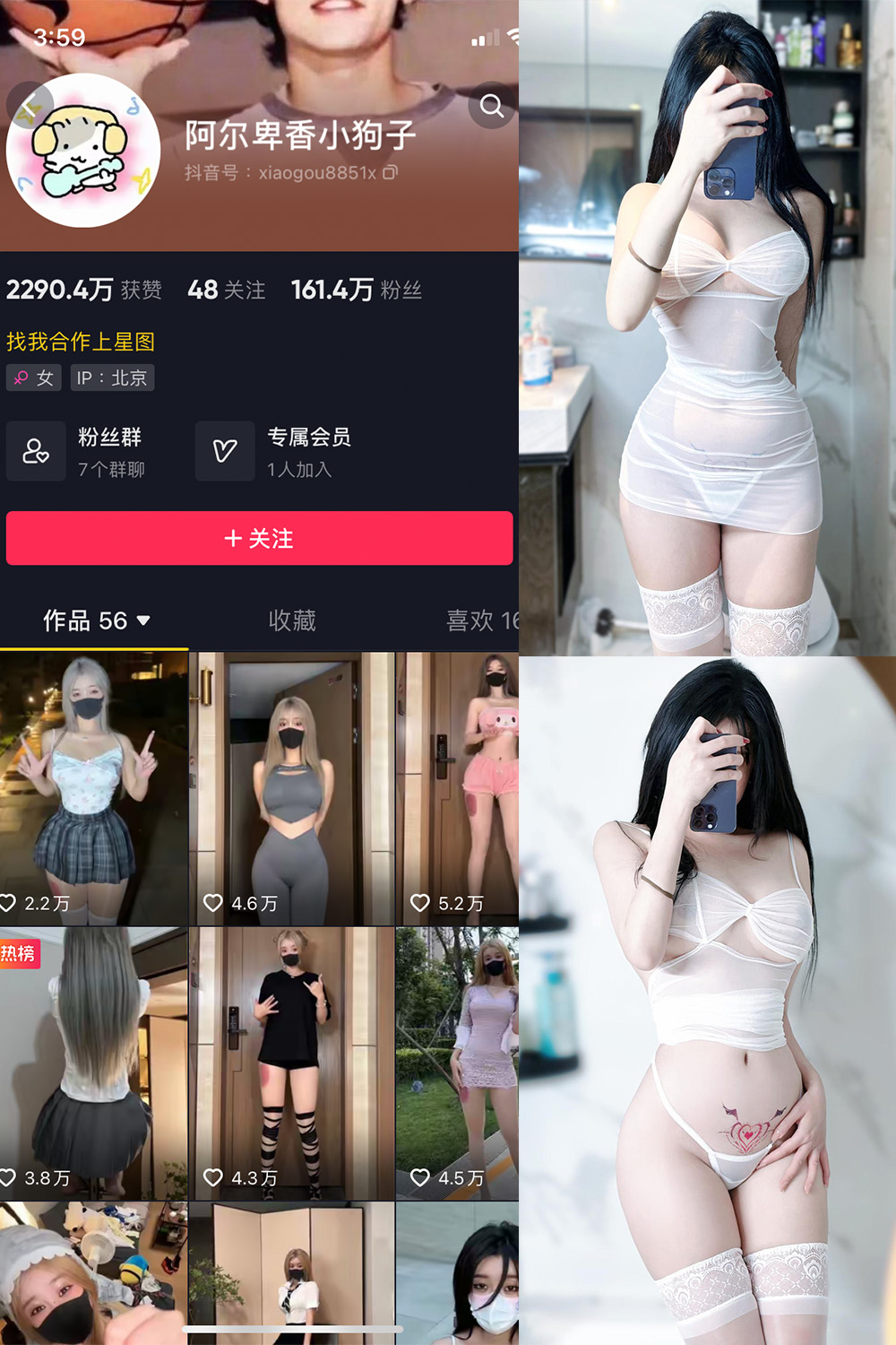 抖音 阿尔卑香小狗子 微密圈 NO.022期