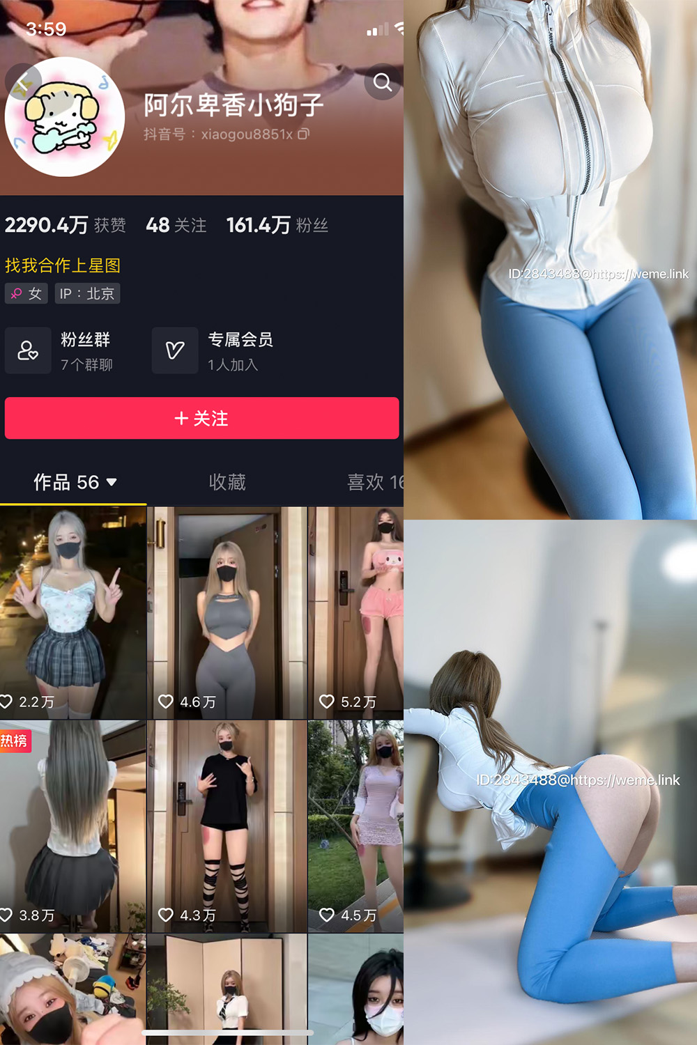 抖音 阿尔卑香小狗子 微密圈 NO.017期