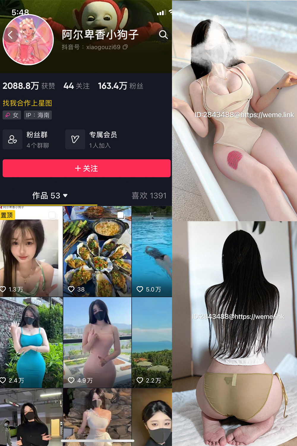 抖音 阿尔卑香小狗子 微密圈 NO.013期