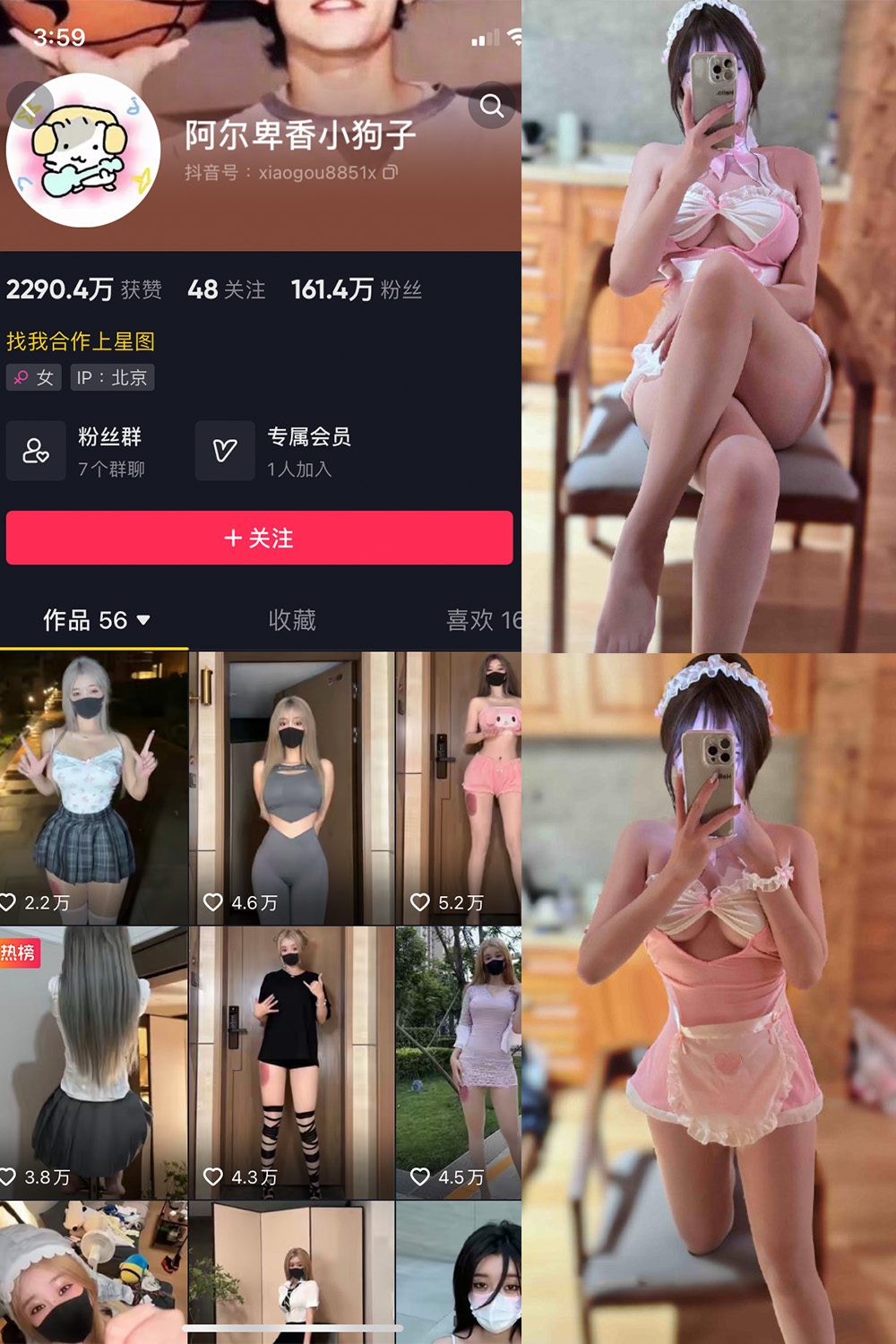 抖音 阿尔卑香小狗子 微密圈 NO.039期