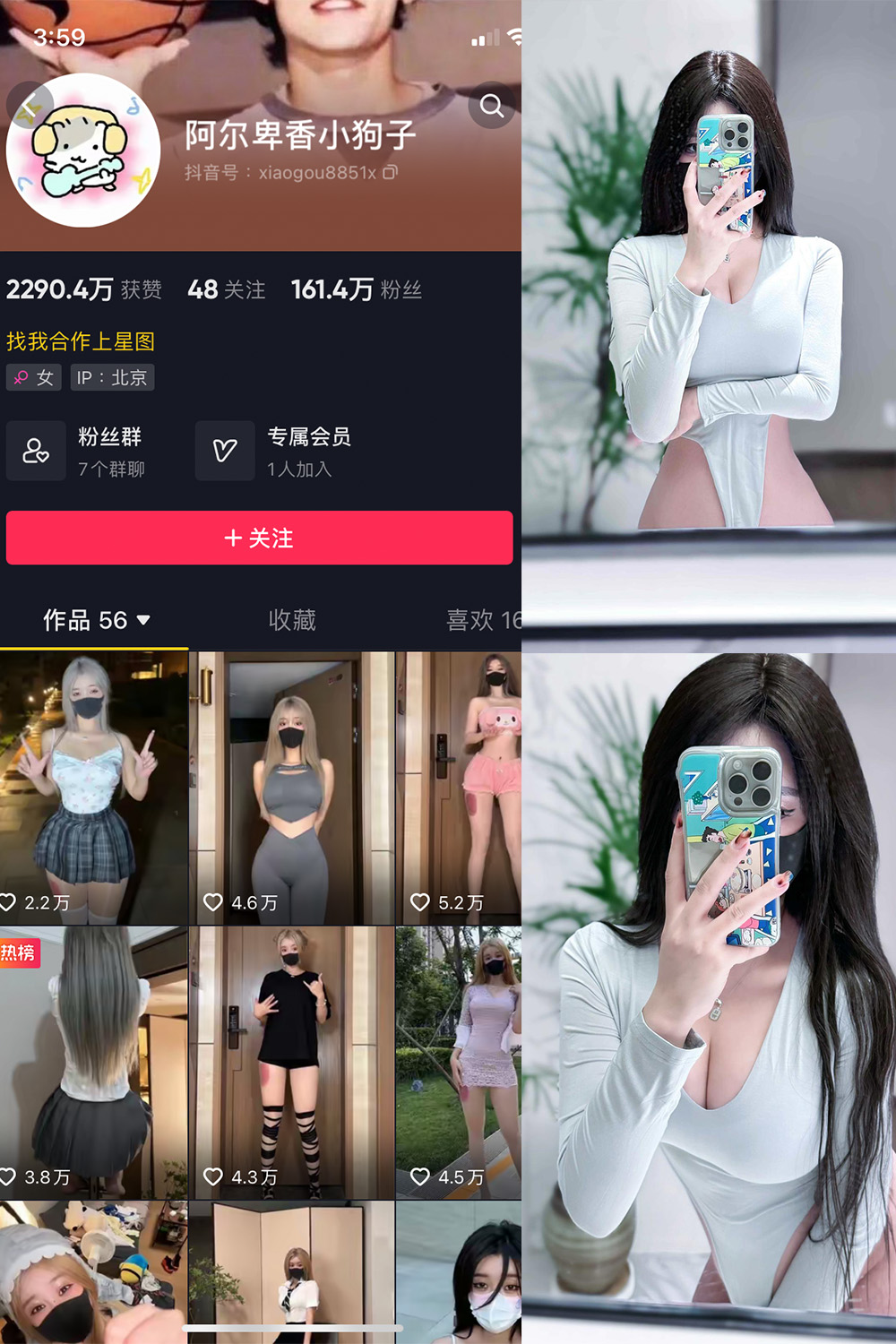 抖音 阿尔卑香小狗子 微密圈 NO.041期