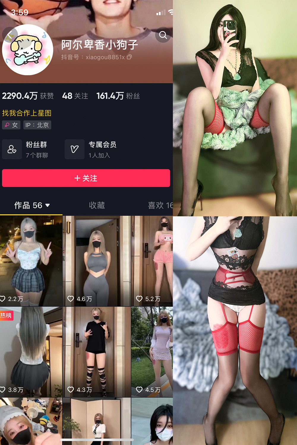 抖音 阿尔卑香小狗子 微密圈 NO.034期