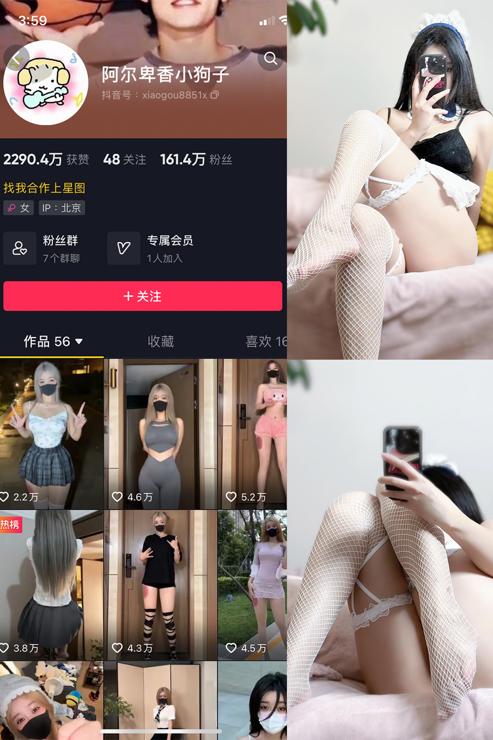 抖音 阿尔卑香小狗子 微密圈 NO.033期