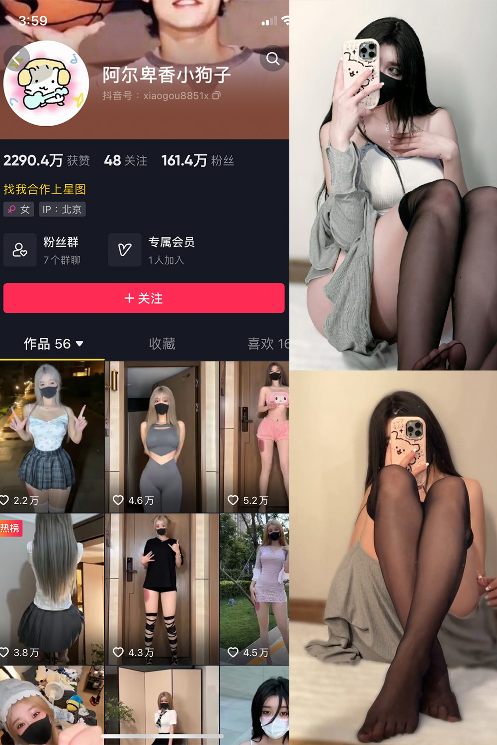 抖音 阿尔卑香小狗子 微密圈 NO.042期