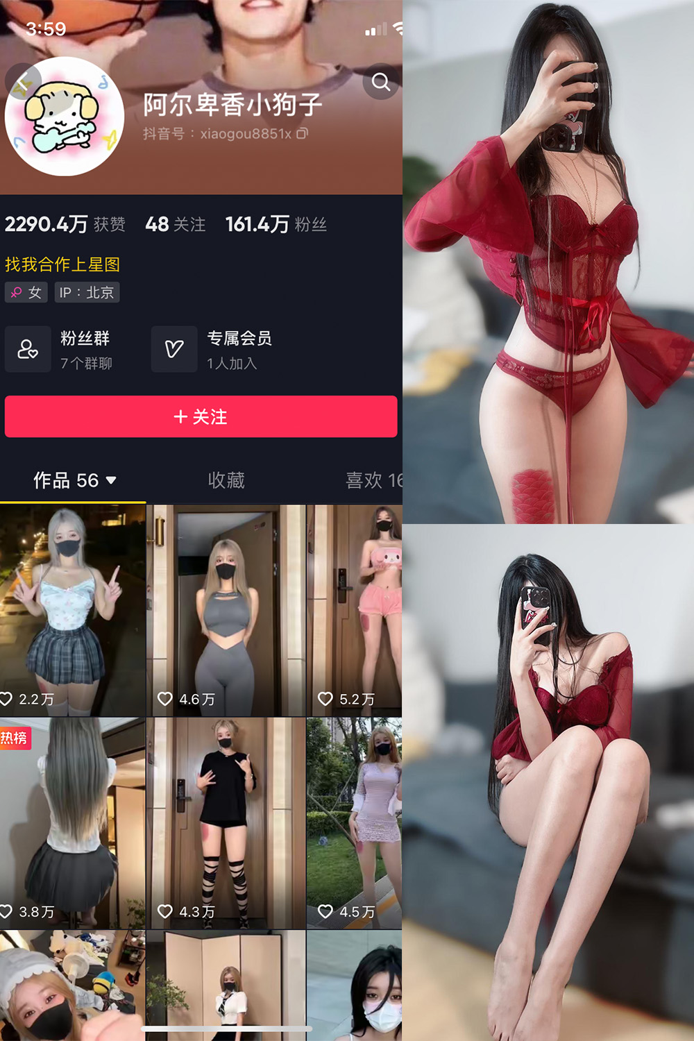 抖音 阿尔卑香小狗子 微密圈 NO.025期