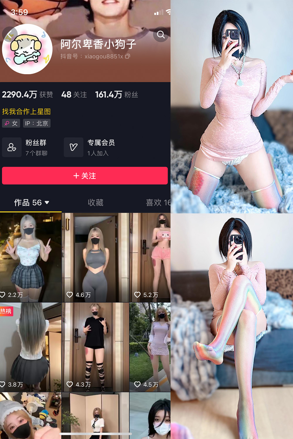 抖音 阿尔卑香小狗子 微密圈 NO.035期